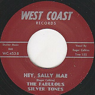 FABULOUS SILVER TONES - Hey sally mae 7 FABULOUS SILVER TONES - Hey sally mae 7