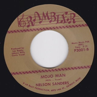 NELSON SANDERS - Mojo man 7 NELSON SANDERS - Mojo man 7