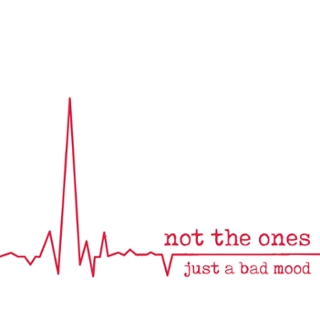 NOT THE ONES - Just a bad mood LP NOT THE ONES - Just a bad mood LP