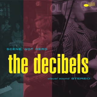 DECIBELS - Scene not herd LP DECIBELS - Scene not herd LP