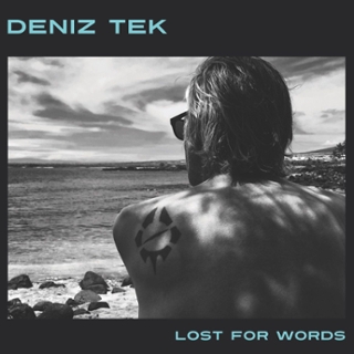 DENIZ TEK - Lost for words LP DENIZ TEK - Lost for words LP