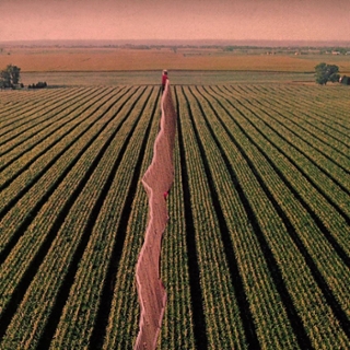 POSSIBLE HUMANS - Everybody split CD POSSIBLE HUMANS - Everybody split CD