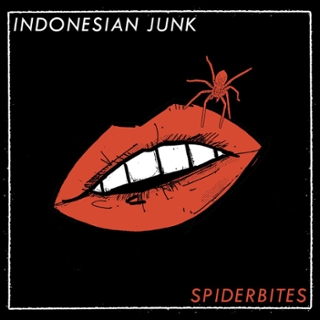 INDONESIAN JUNK - Spiderbites CD