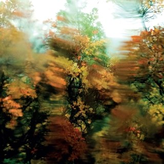 ALIEN MUSTANGS - The world as I am 7 ALIEN MUSTANGS - The world as I am 7