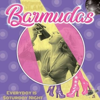 BARMUDAS - Everyday is a saturday night LP BARMUDAS - Everyday is a saturday night LP