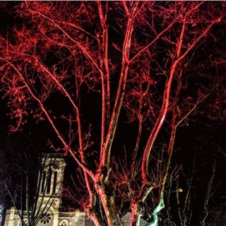 VANILLA BLUE - Sweetheart LP