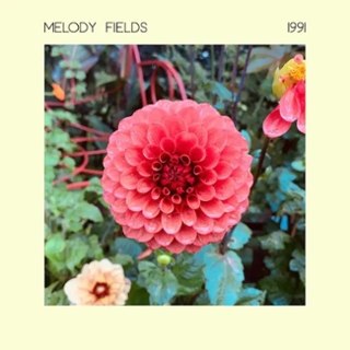 MELODY FIELDS - 1991 LP