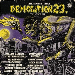 V/A - The songs demolition 23 taught us LP