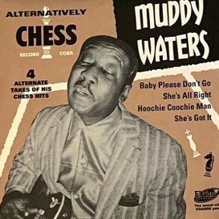 MUDDY WATERS - Alternatively chess (brown) 7