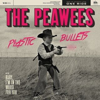 Punk - Power Pop - Guitars - Vinyl | LP | CD | DVD
