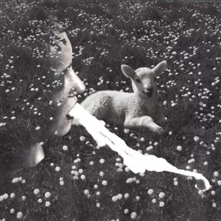 JEALOUS YELLOW - Czech vampires LP JEALOUS YELLOW - Czech vampires LP