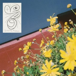 LAUNDROMAT CHICKS - Sometimes possessed LP