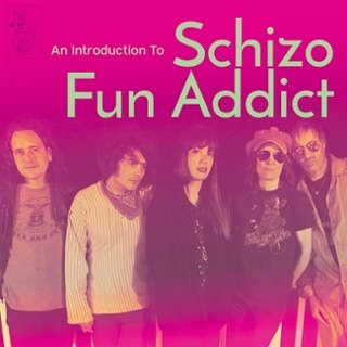 SCHIZO FUN ADDICT - An introduction to Schizo Fun Addict DoCD