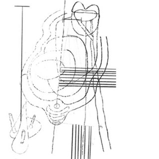 GASTR DEL SOL - Camoufleur (reissue) LP