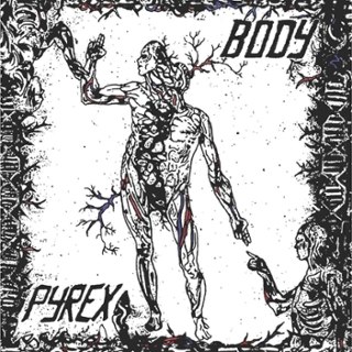 PYREX - Body LP PYREX - Body LP