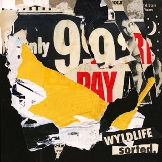 WYLDLIFE - Sorted LP WYLDLIFE - Sorted LP