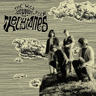 CRYTONES - The wild teenage sounds of... LP CRYTONES - The wild teenage sounds of... LP