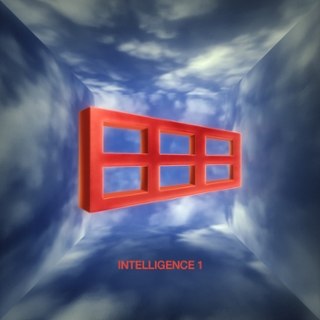 FUNGAS - Intelligence 1 LP FUNGAS - Intelligence 1 LP