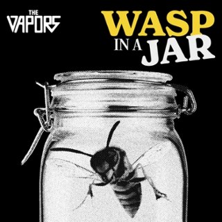 VAPORS - Wasp in a jar LP VAPORS - Wasp in a jar LP