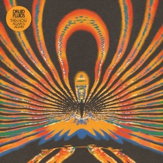 DRUID FLUIDS - Then, now, again & again LP DRUID FLUIDS - Then, now, again & again LP