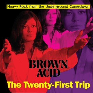 V/A - Brown acid-the twenty-first trip LP