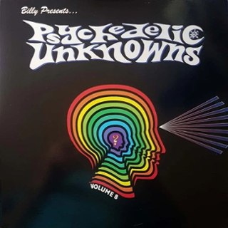 V/A - Psychedelic unknowns Vol. 8 LP