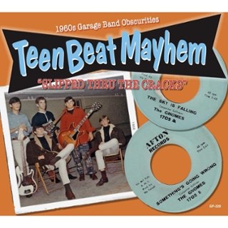 V/A - Teenbeat mayhem: slipped thru the cracks CD