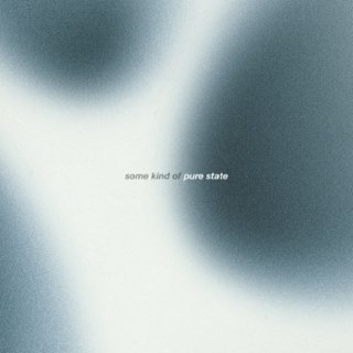 DHARMA CHAIN - Some kind of pure state LP