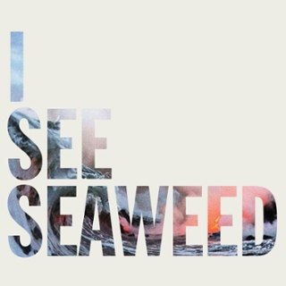 DRONES - I see seaweed DoLP