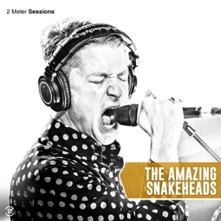 AMAZING SNAKEHEADS - 2 Meter Sessions (gold vinyl) LP