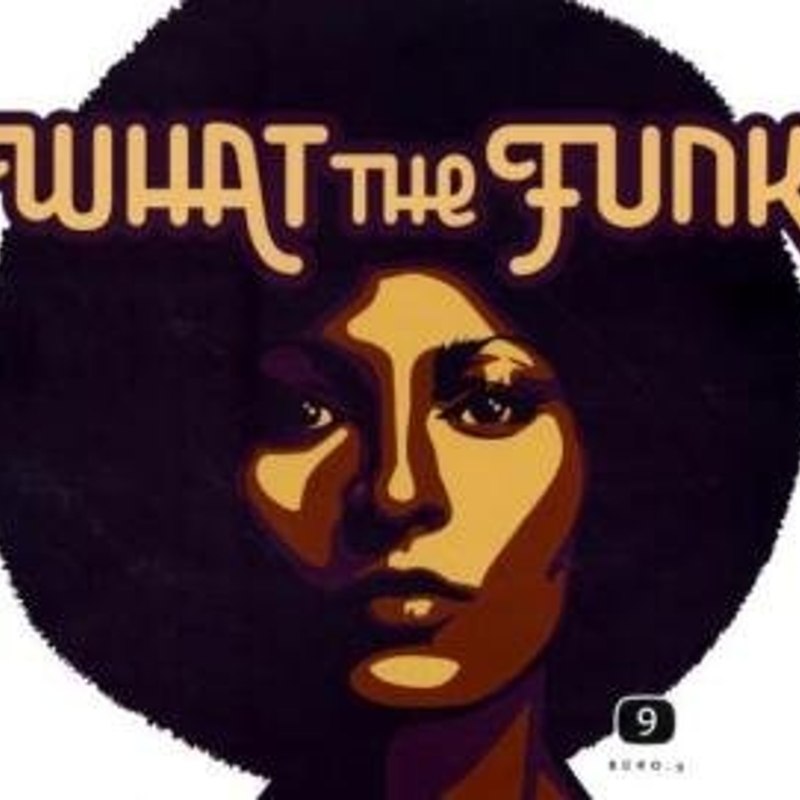 WHAT THE FUNK? - AN INTRODUCTION - by Gino Faglioni Book
