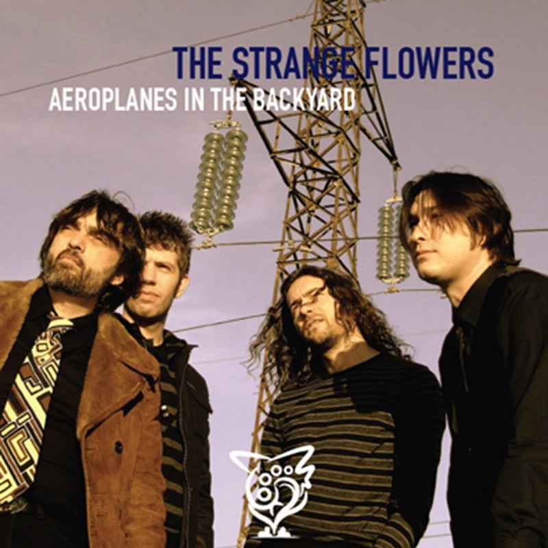 STRANGE FLOWERS - Aeroplanes in the backyard LP