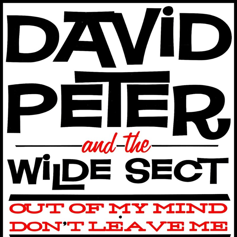 DAVID PETER AND THE WILDE SECT - Out of my mind 7