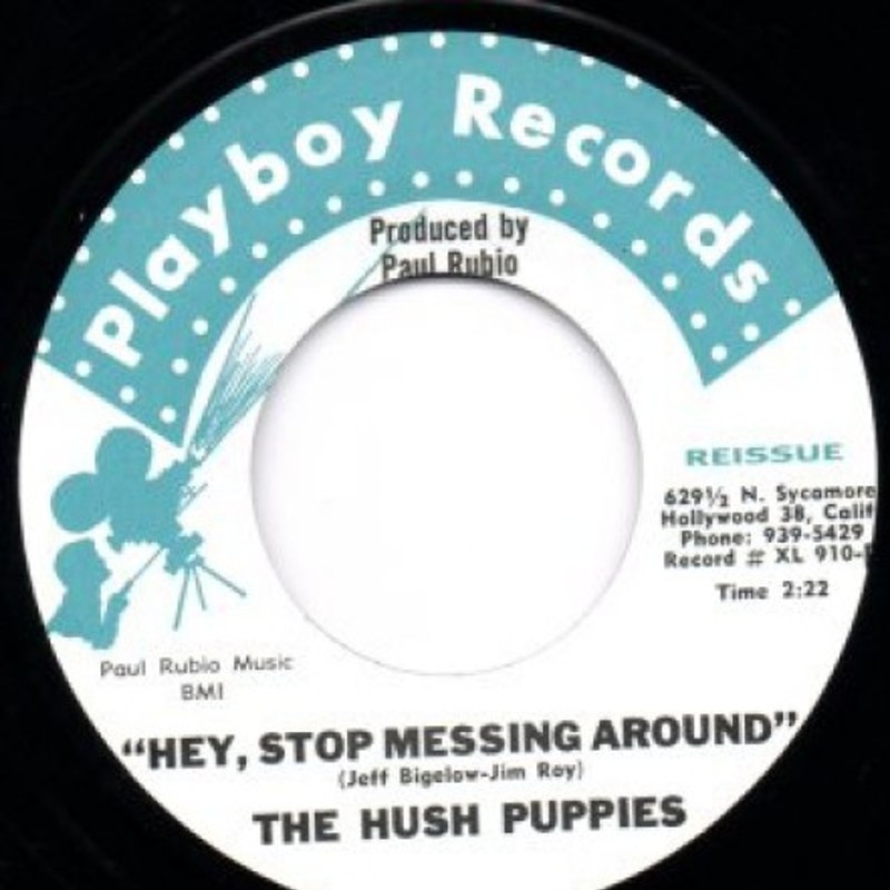 HUSH PUPPIES - Hey stop messin around 7