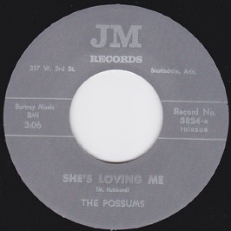 POSSUMS - She´s loving me 7