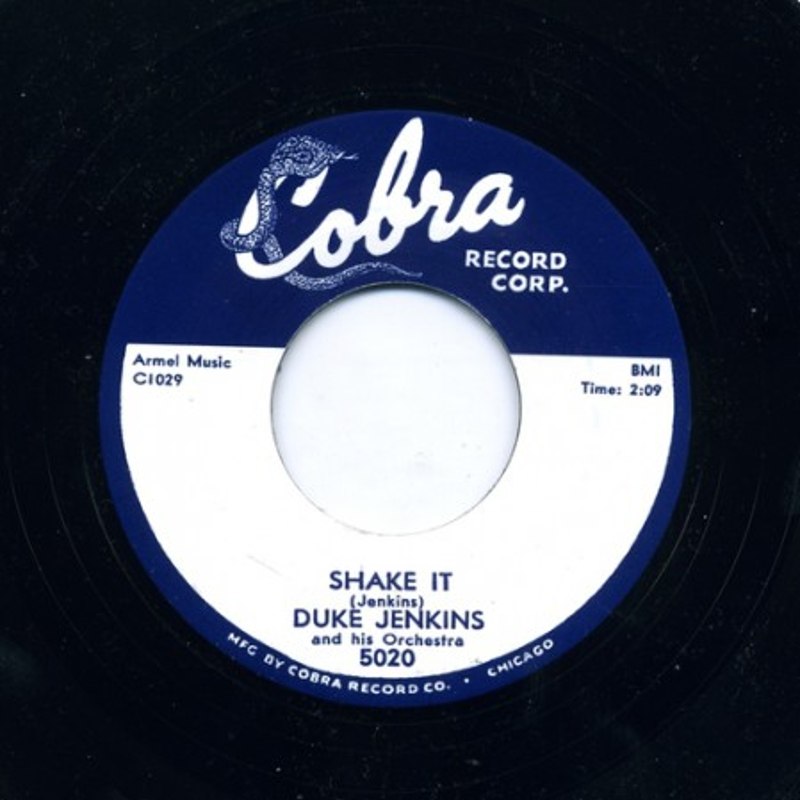 DUKE JENKINS - The duke walks 7