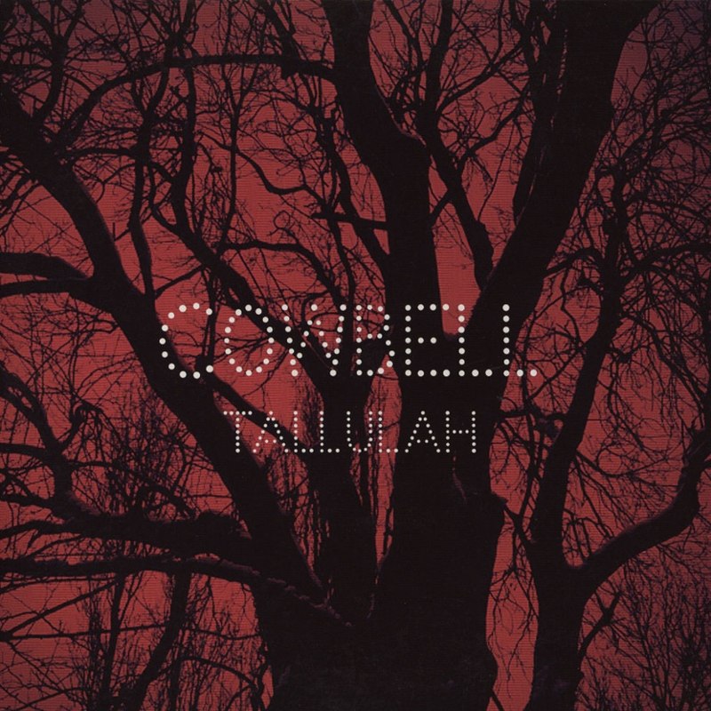 COWBELL - Tallulah 7