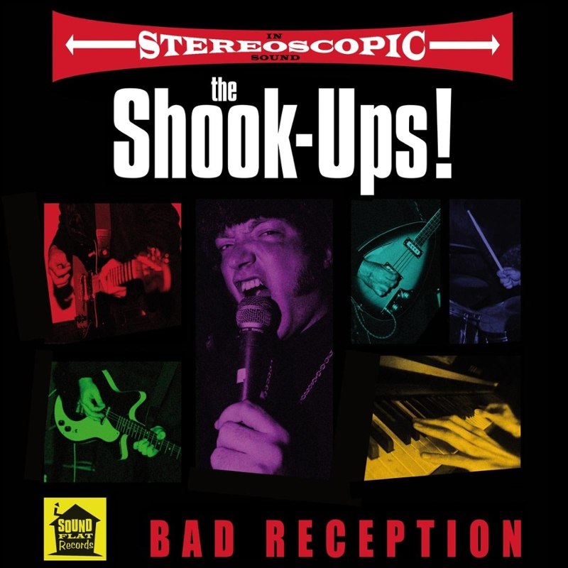 SHOOK-UPS! - Bad reception LP