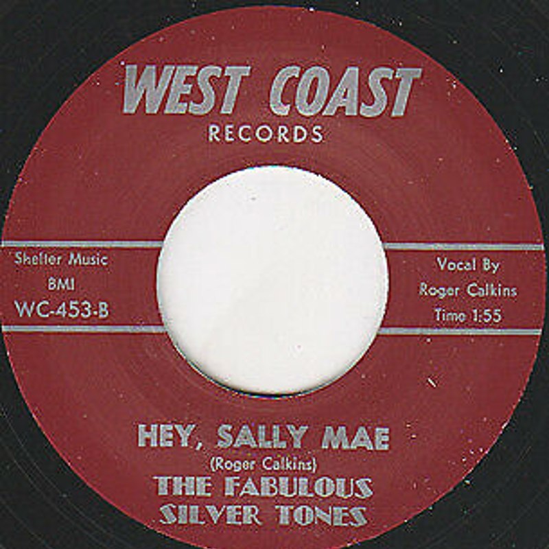 FABULOUS SILVER TONES - Hey sally mae 7