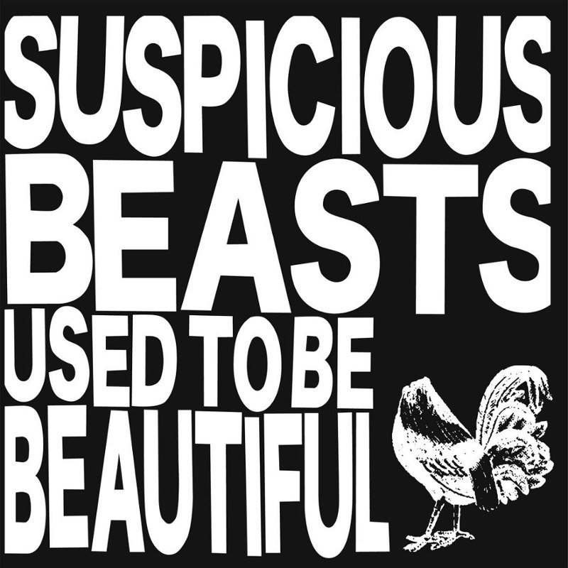 SUSPICIOUS BEASTS - Used to be beautiful LP