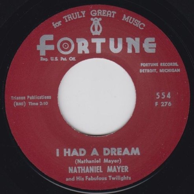 NATHANIEL MAYER - I had a dream 7