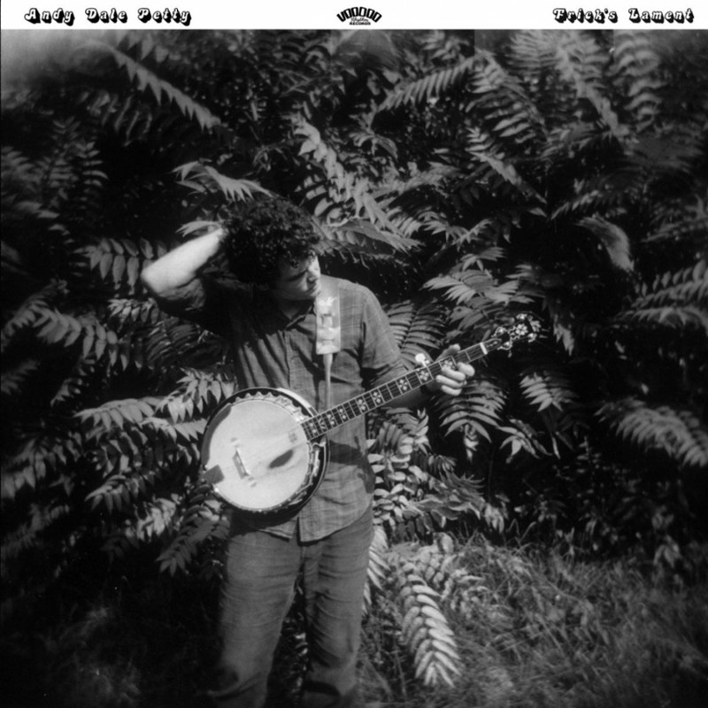 ANDY DALE PETTY - Fricks lament CD