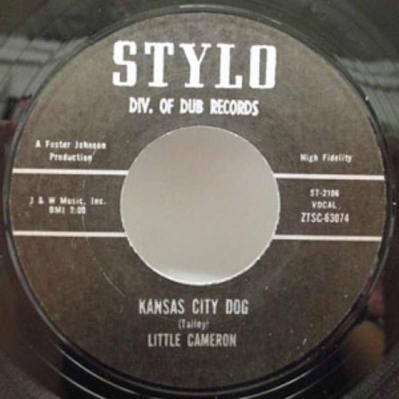 LITTLE CAMERON - Kansas city dog 7