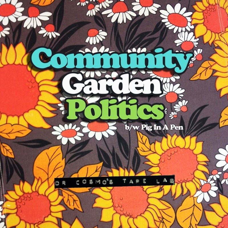DR COSMOS TAPE LAB - Community garden politics 7