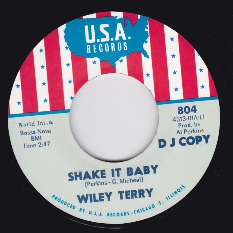 WILEY TERRY / MISS ANN LITTLES - Shake it baby 7