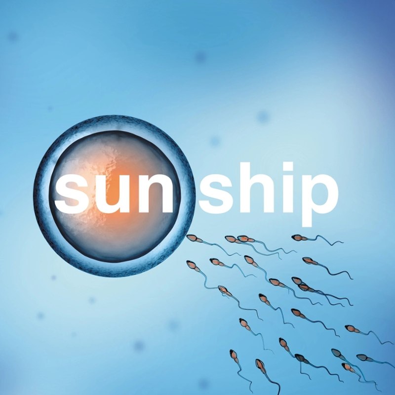 BRIAN JONESTOWN MASSACRE - The sun ship 10