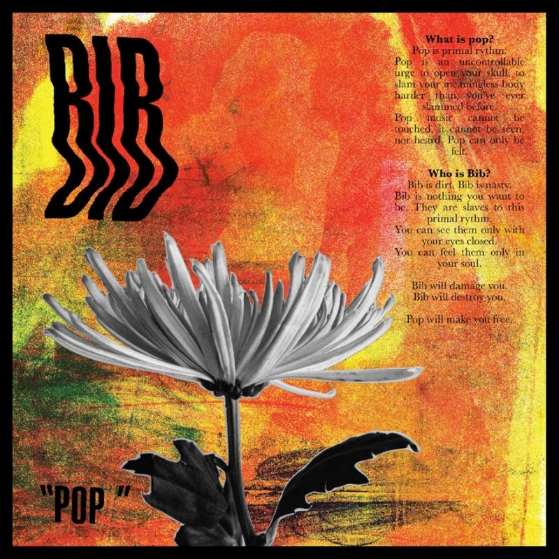 BIB - Pop 7