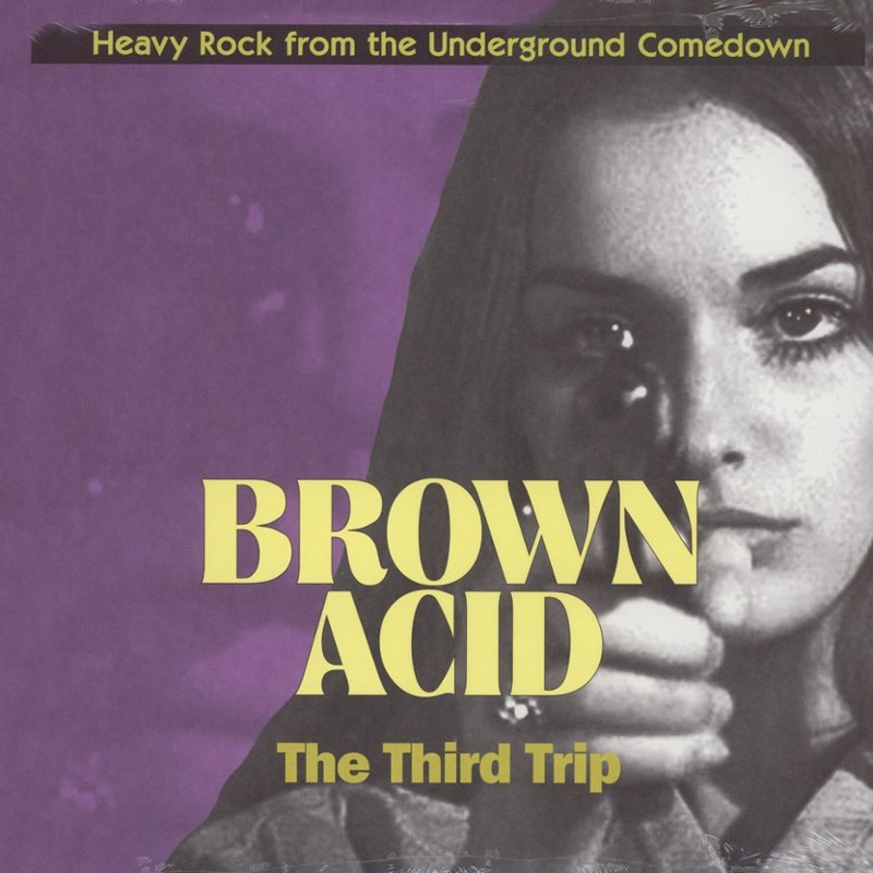 V/A - Brown acid : the third trip CD