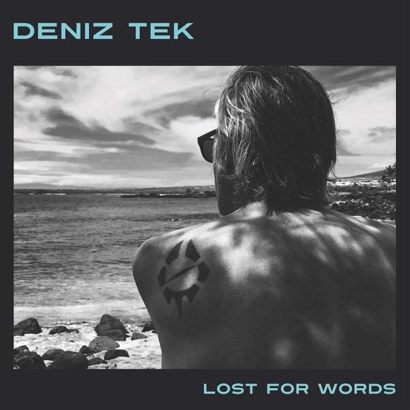 TEK, DENIZ - Lost for words LP