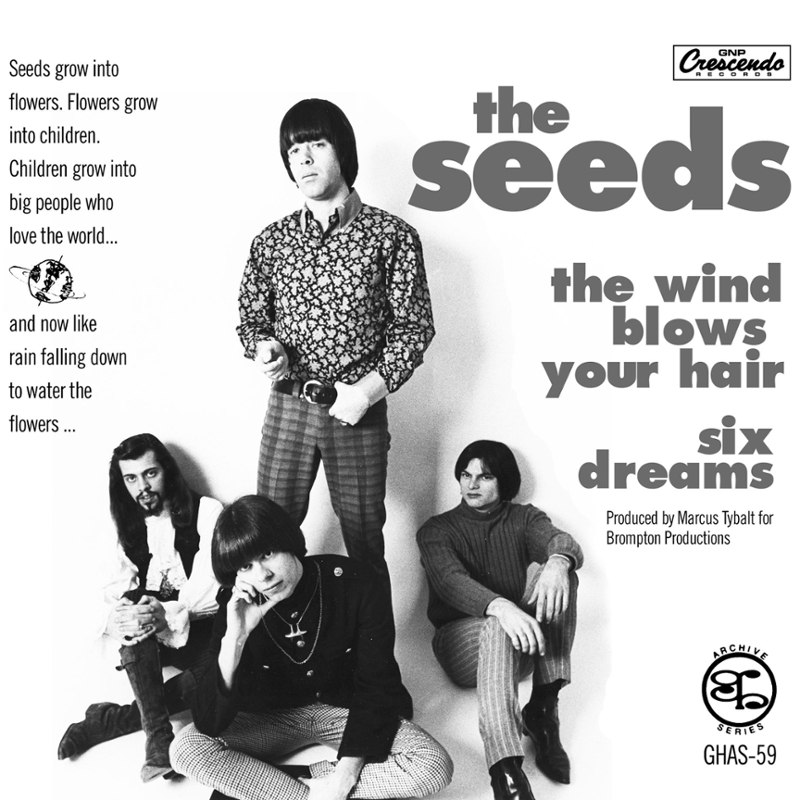 SEEDS - The wind blows your hair/six dreams 7